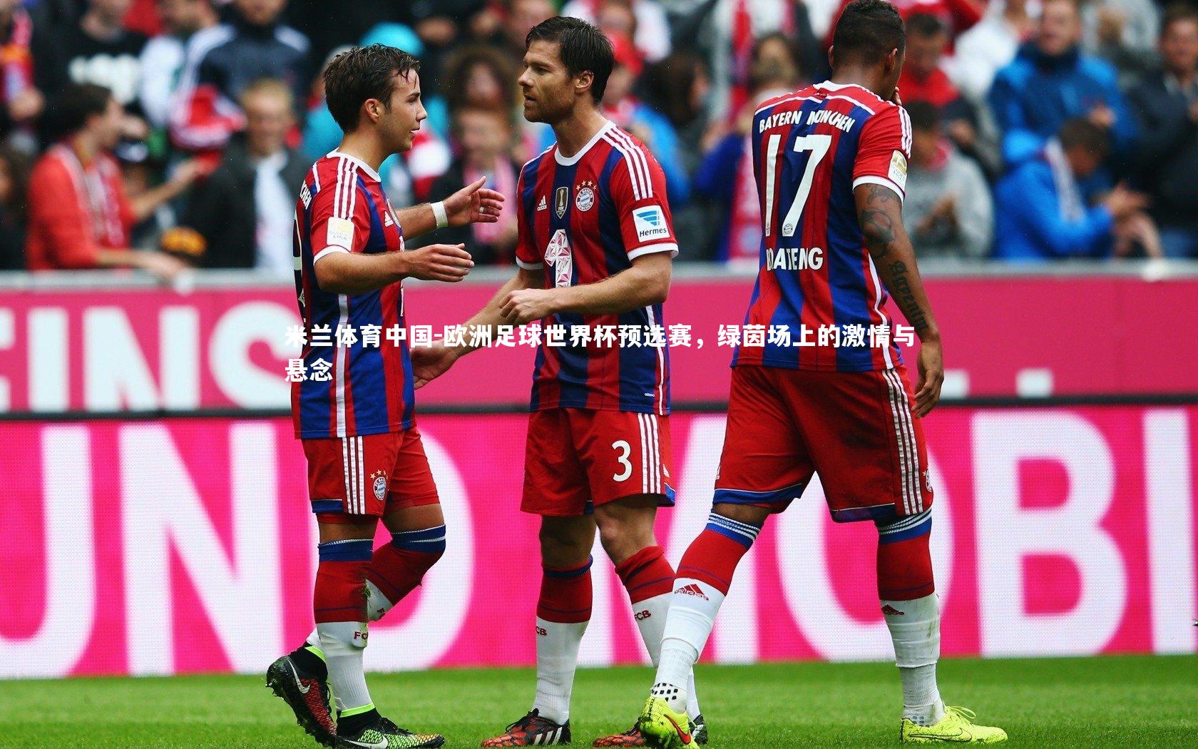 欧洲足球世界杯预选赛，绿茵场上的激情与悬念